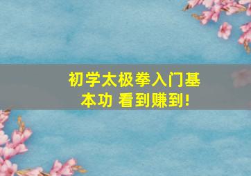 初学太极拳入门基本功 看到赚到!